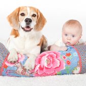 Fotoshooting mit Baby und Hund