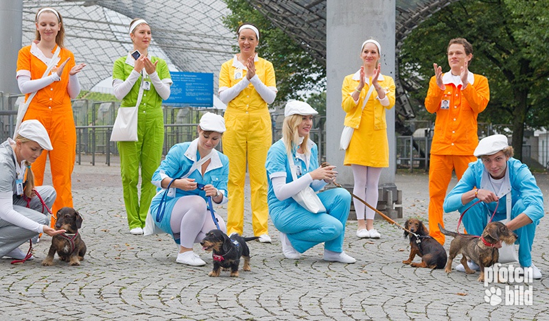 Dackelspaziergang im Olympiapark