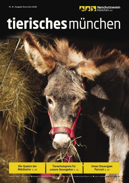 Tierisches+München,+Titelfoto+von+Andrea+Schleicher