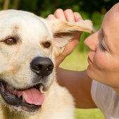 Hundefotoshooting München