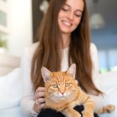 Fotoshooting mit Katze zu Hause München