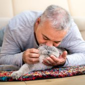 Gutschei Katzenshooting