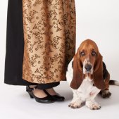 Basset mit Jägerin