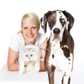 Fotosession mit Hund und Katze